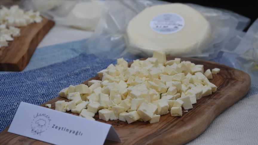 Bodrum da Uluslararası Peynir Festivali
