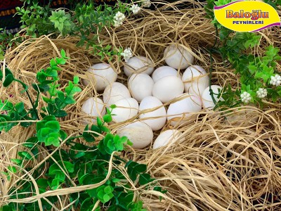 Baloğlu Yumurta